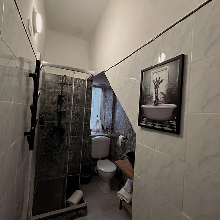 The Moon Suites&rooms - Historic Palace Penzion Janov